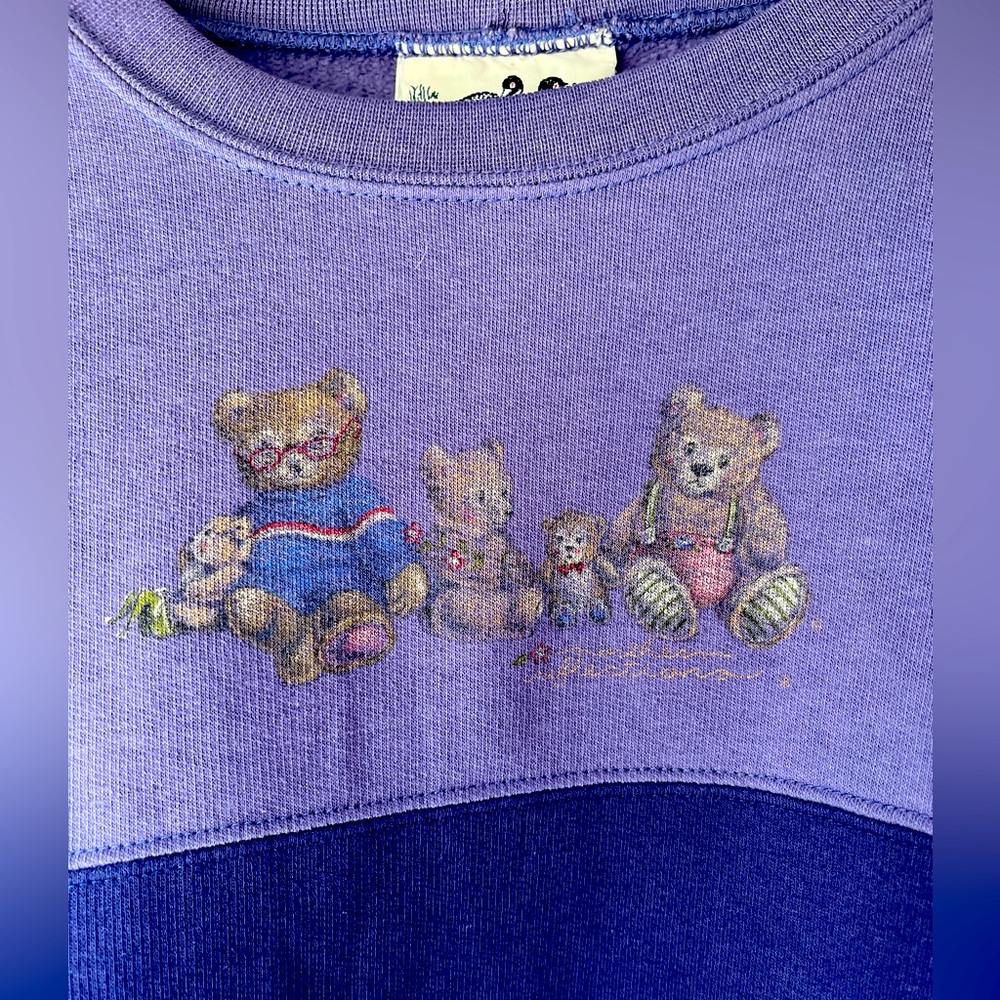 Vintage Northern Reflections Colorblock Purple Sweatshirt with cute Teddy Bears!